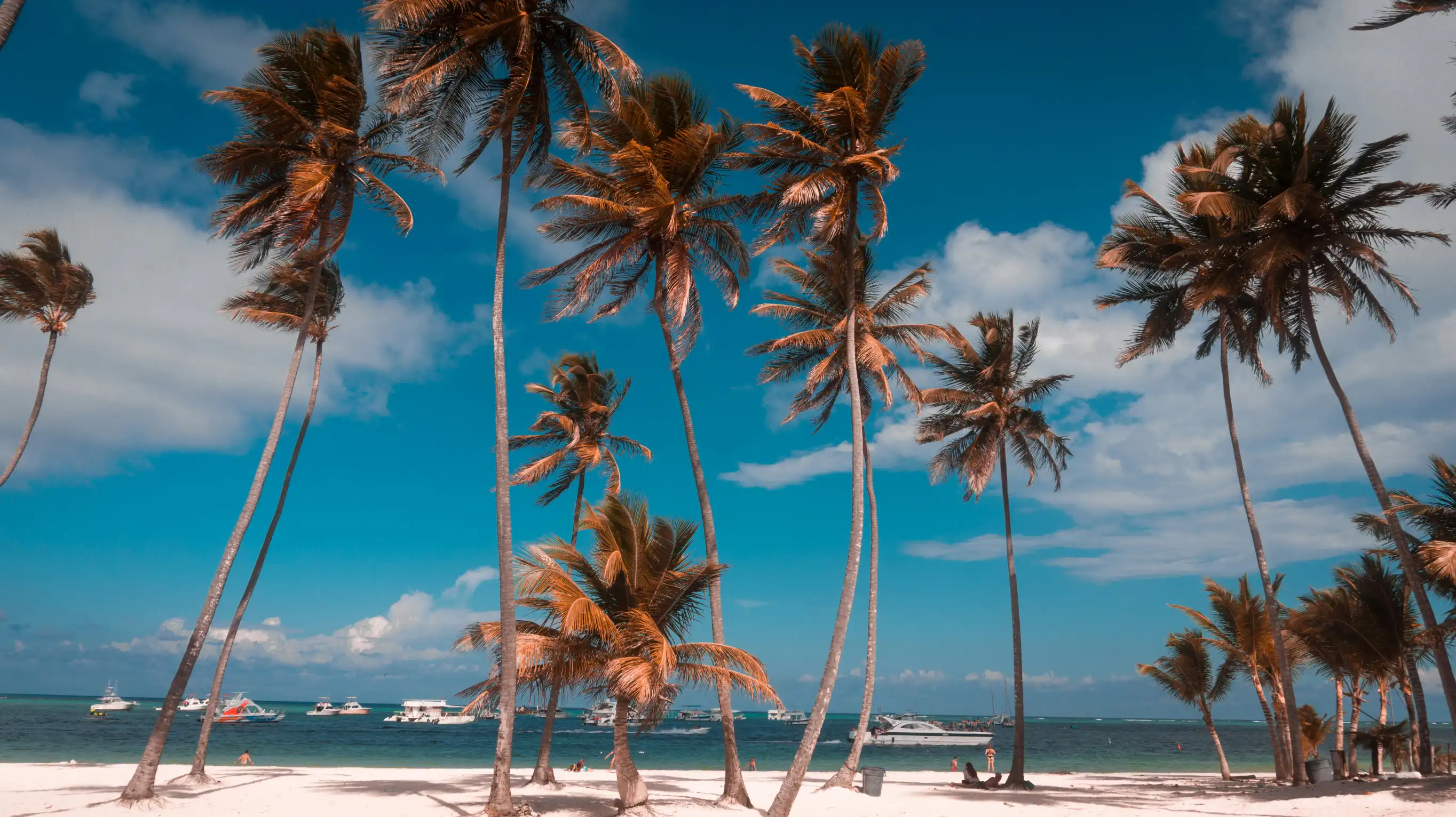 View of Punta Cana - a perfect place to relax and enjoy the pool
